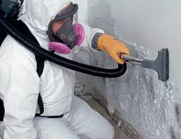 Professional Mold Removal Services in Red Bank, SC